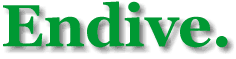 Endive